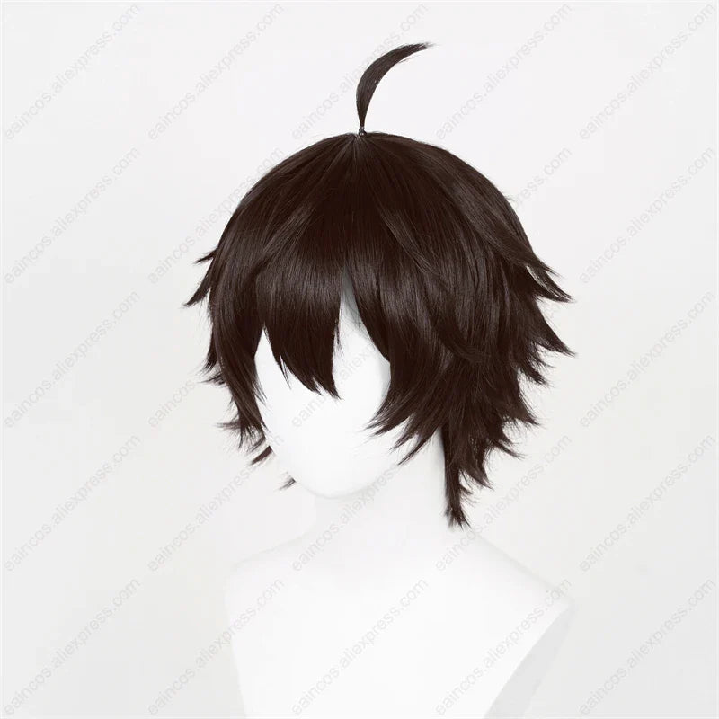 HSR Dan Heng Cosplay Wig 30cm Black Brown Short Wigs Heat Resistant Synthetic Hair - Dan Heng wig