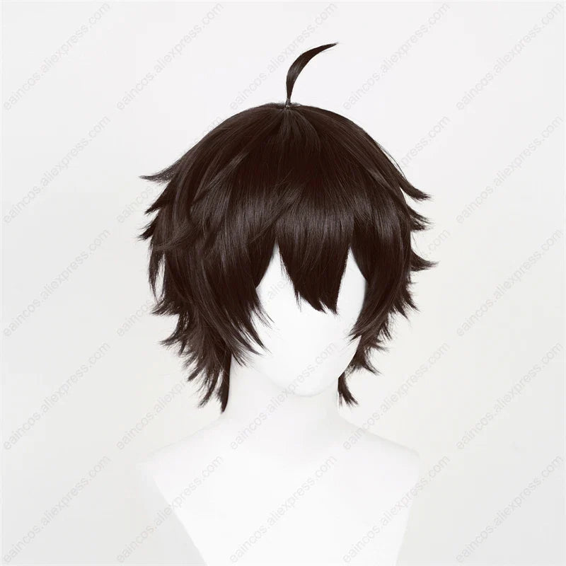 HSR Dan Heng Cosplay Wig 30cm Black Brown Short Wigs Heat Resistant Synthetic Hair - Dan Heng wig