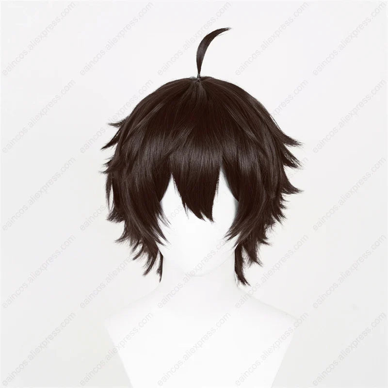 HSR Dan Heng Cosplay Wig 30cm Black Brown Short Wigs Heat Resistant Synthetic Hair - Dan Heng wig