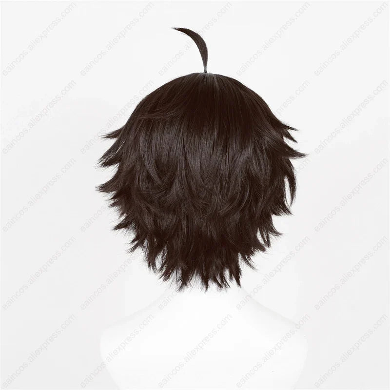 HSR Dan Heng Cosplay Wig 30cm Black Brown Short Wigs Heat Resistant Synthetic Hair - Dan Heng wig